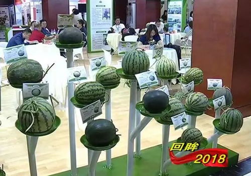 系列報道之三 堅持強農(nóng)惠農(nóng) 鄉(xiāng)村振興邁出堅實步伐