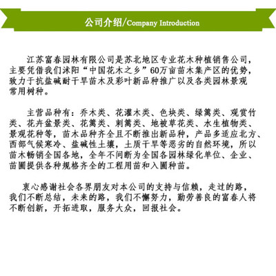 木槿樹苗 多功能綠化植物的選擇與培育指南